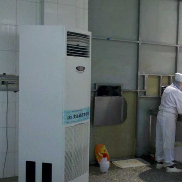 房山食品正负离子空气杀菌器